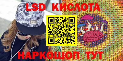 МДПВ Гай