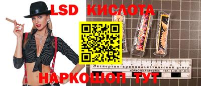 эйфоретик Гатчина