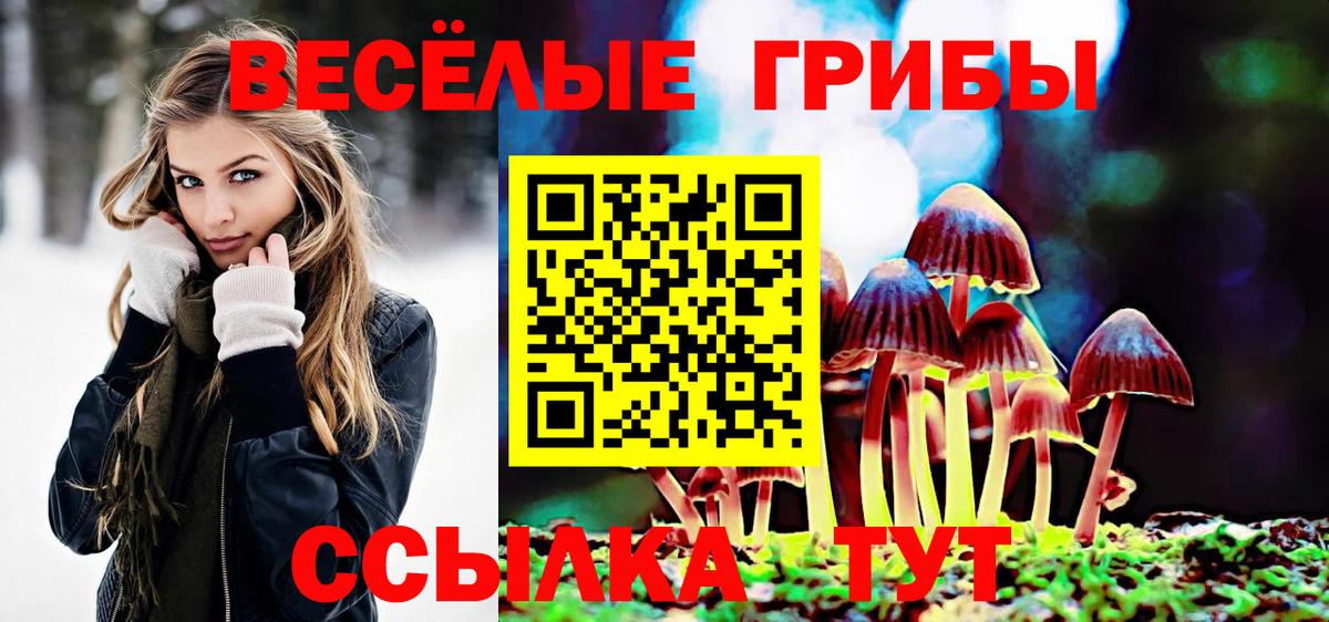 Самара  Псилоцибиновые грибы MAGIC MUSHROOMS  Вход с VPN 